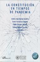 Constitucion En Tiempos De Pandemia,La