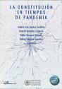 Constitucion En Tiempos De Pandemia,La - Preview