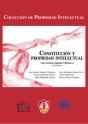 Constitución Y Propiedad Intelectual - Preview