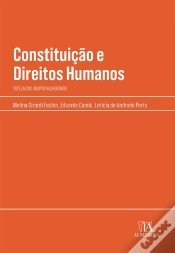 Capa do artigo Constituição E Direitos Humanos