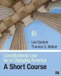 Constitutional Law For A Changing America - Preview