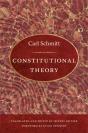 Constitutional Theory - Preview