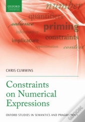 Constraints On Numerical Expressions