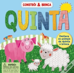 Capa do artigo Constroi & Brinca - Quinta