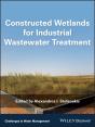 Constructed Wetlands For Industrial Wastewater Treatment - Preview