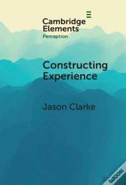 Capa do artigo Constructing Experience