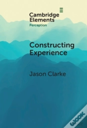 Capa do artigo Constructing Experience