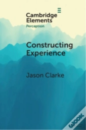 Constructing Experience