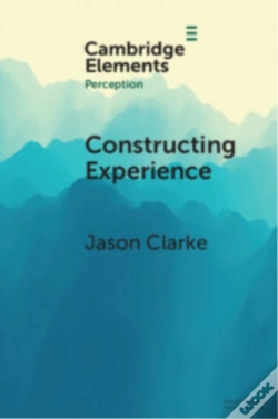 Capa do artigo Constructing Experience