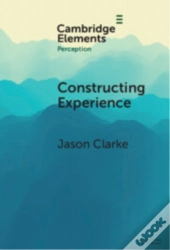 Constructing Experience