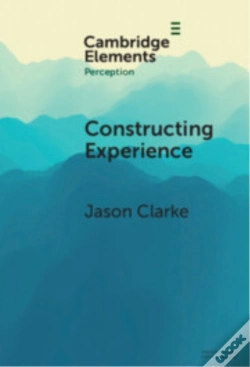 Capa do artigo Constructing Experience