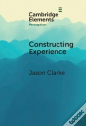 Capa do artigo Constructing Experience