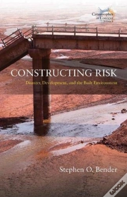 Capa do artigo Constructing Risk