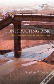 Capa do artigo Constructing Risk