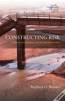 Capa do artigo Constructing Risk