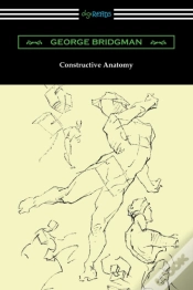 Capa do artigo Constructive Anatomy