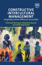 Constructive Intercultural Management - Preview