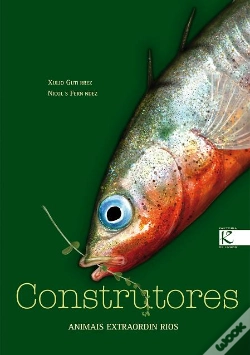 Capa do artigo Construtores