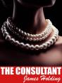 Consultant - Preview
