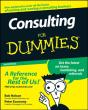 Consulting For Dummies - Preview