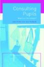 Consulting Pupils - Preview