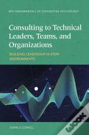 Consulting To Technical Leaders, Teams, And Organizations