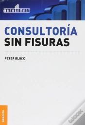 Capa do artigo Consultoria Sin Fisuras