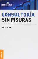 Consultoria Sin Fisuras