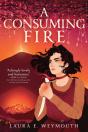 Consuming Fire - Preview