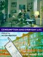 Consumption And Everyday Life - Preview