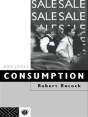 Consumption - Preview