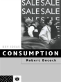 Consumption - Preview