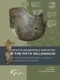 Contacts, Boundaries And Innovation In The Fifth Millennium - Preview