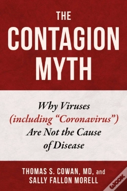 Capa do artigo Contagion Myth