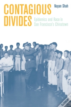 Capa do artigo Contagious Divides