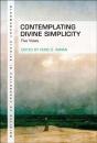 Contemplating Divine Simplicity - Preview