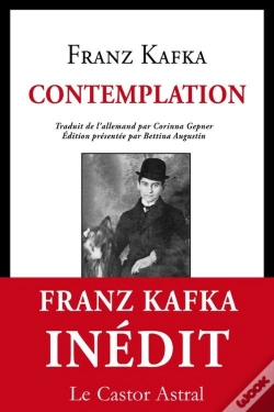 Capa do artigo Contemplation