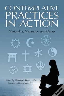 Capa do artigo Contemplative Practices In Action