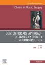 Contemporary Approach To Lower Extremity Reconstruction, An Issue Of Clinics In Plastic Surgery, E-Book - Preview