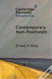 Contemporary Non-Positivism