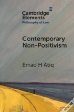 Capa do artigo Contemporary Non-Positivism