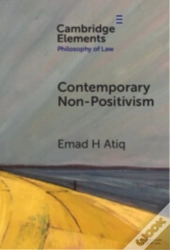 Contemporary Non-Positivism