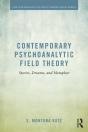 Contemporary Psychoanalytic Field Theory - Preview