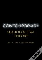 Contemporary Sociological Theory