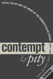 Capa do artigo Contempt And Pity