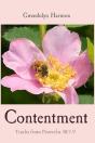 Contentment: Truths From Proverbs 30 - Preview