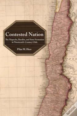Capa do artigo Contested Nation