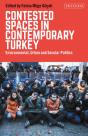 Contested Spaces In Contemporary Turkey - Preview
