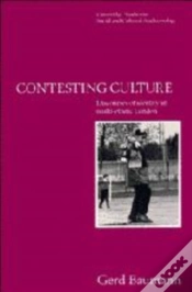 Capa do artigo Contesting Culture
