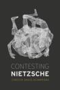 Contesting Nietzsche - Preview